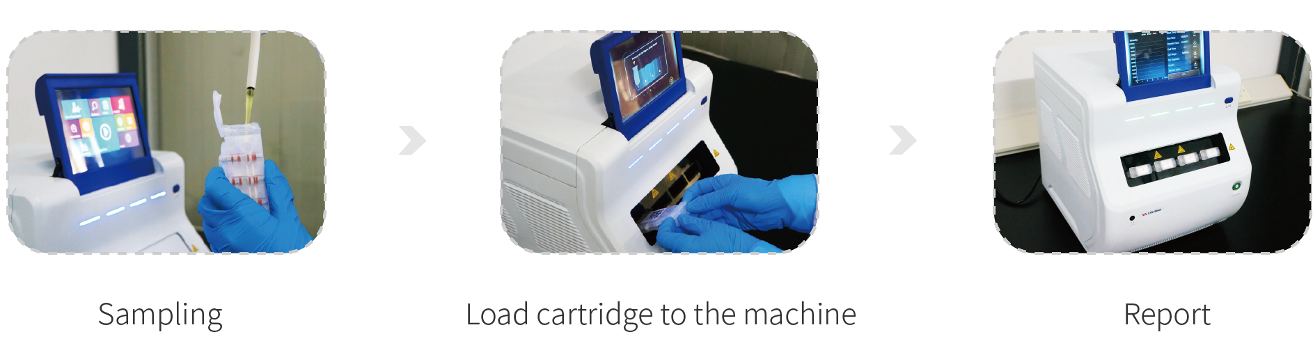 Canine Adenovirus Detection Kit