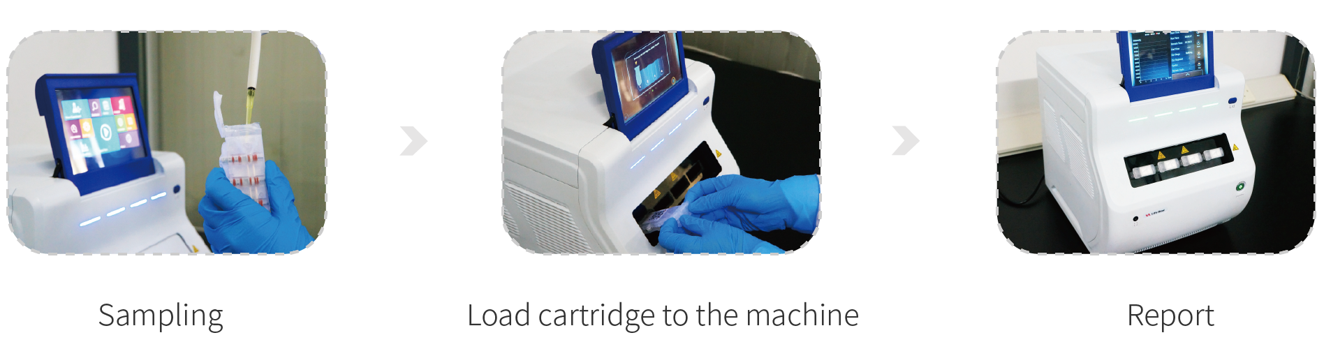 Canine Parovirus Detection Kit