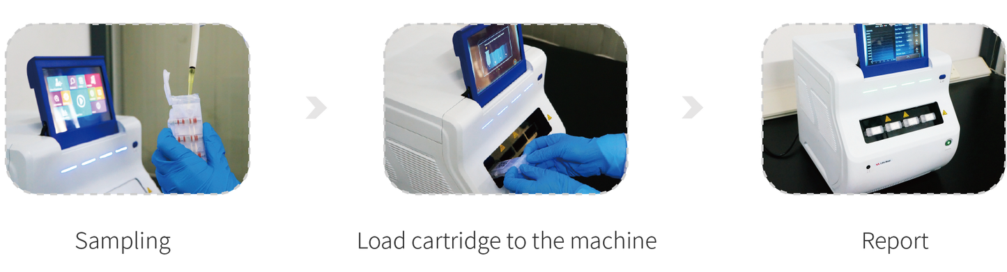 Canine Coronavirus Detection Kit 